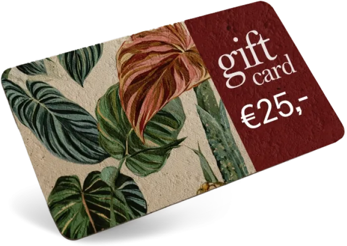 Van cadeau naar bloemenzee, giftcards op groei-papier giftcard