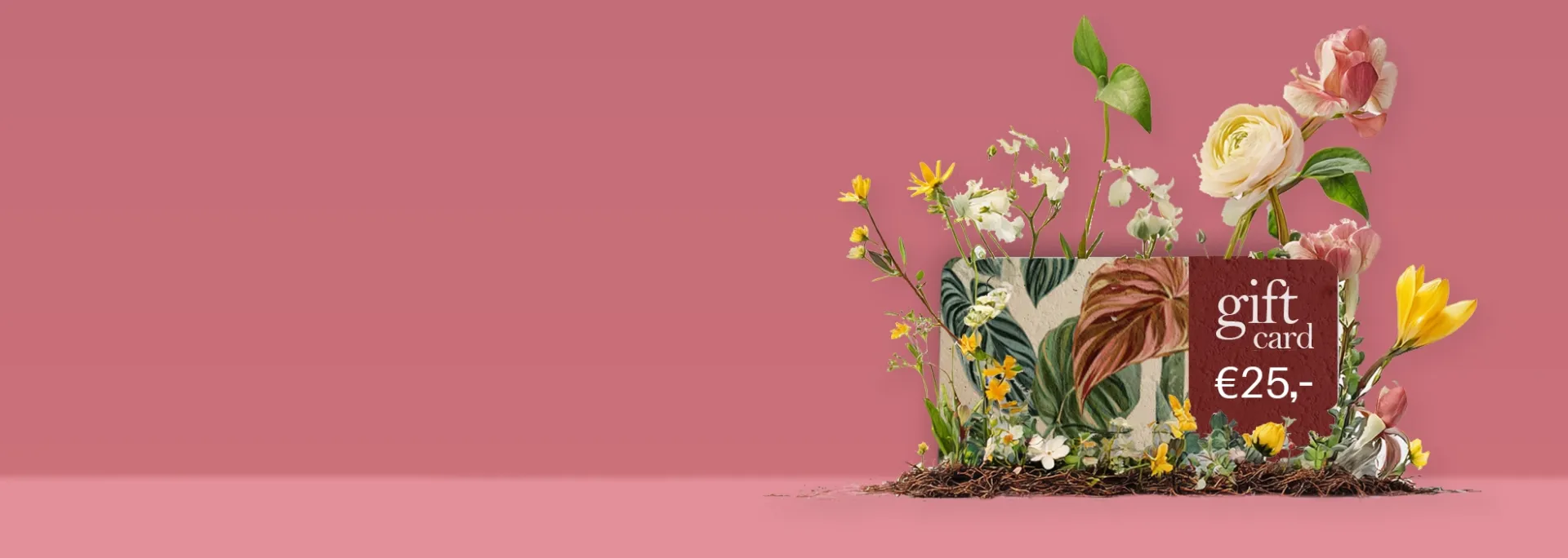 Van cadeau naar bloemenzee, giftcards op groei-papier