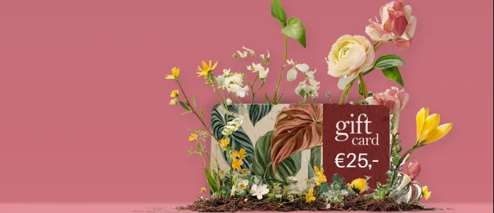 Giftcards op groeipapier